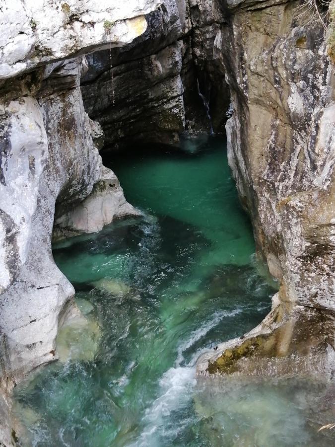 Pocitnisko Stanovanje Planja Soča Exteriér fotografie