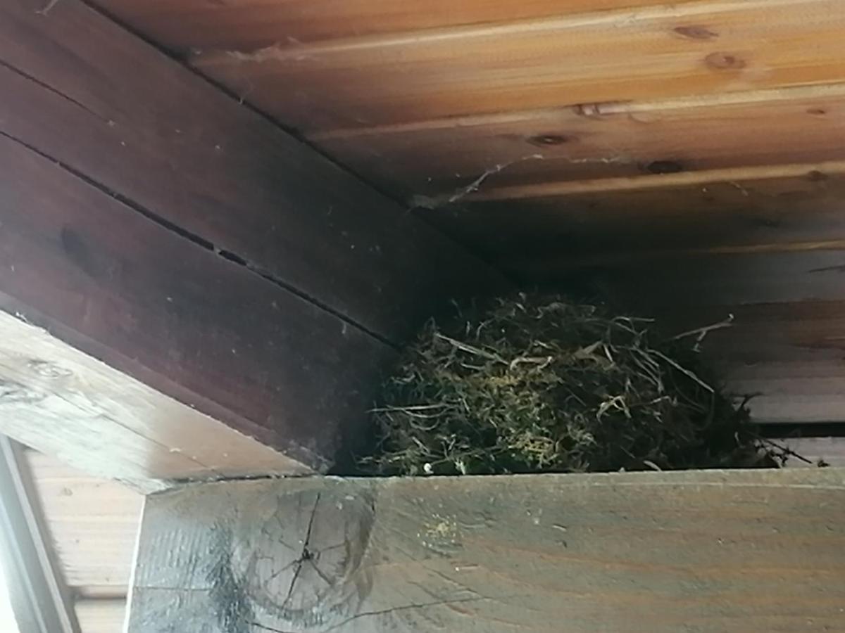 Pocitnisko Stanovanje Planja Soča Exteriér fotografie